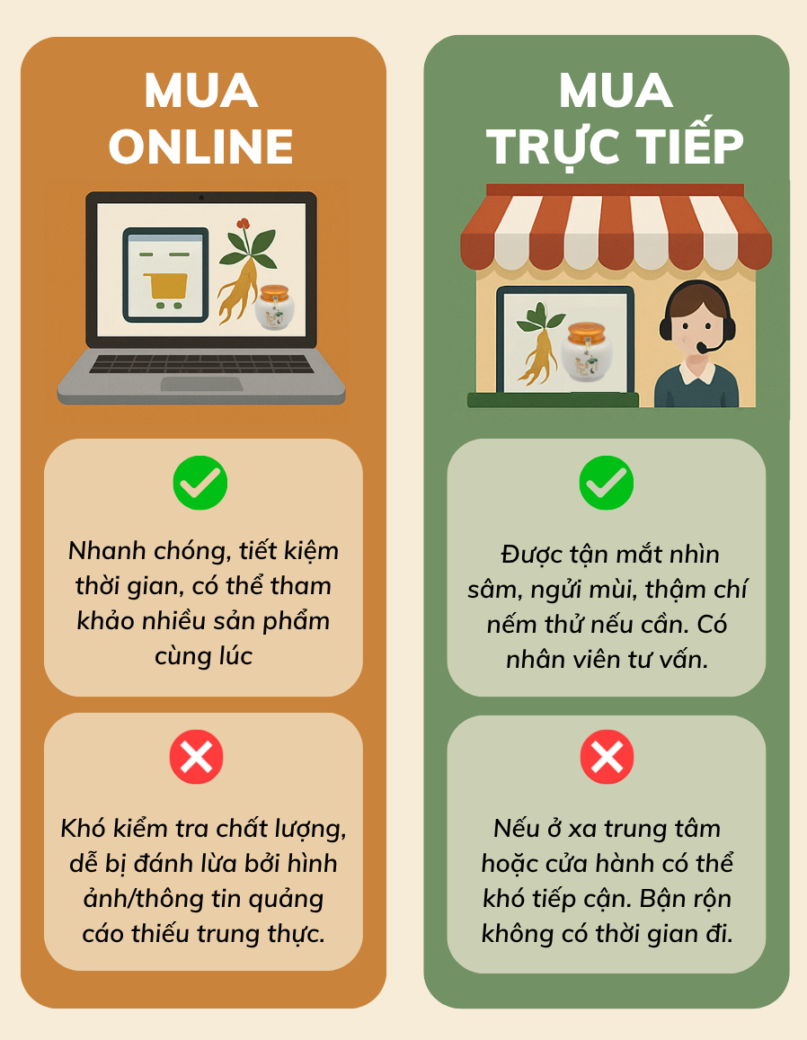 Nên mua sâm Địa chỉ cửa hàng sâm Ngọc Linh uy tín, giá tốt nhất Việt Nam